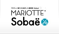 MARIOTTE やさしい眠りを追求した蕎麦枕 Sobaë